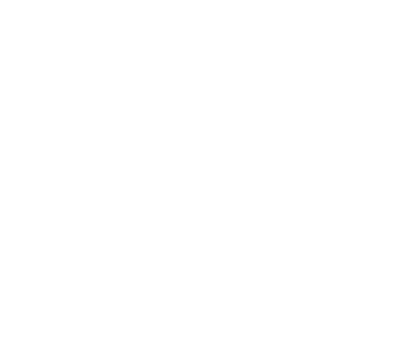 更新予定
